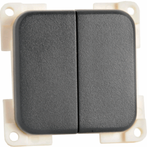 Interruptor Doble Plano Gris Oscuro